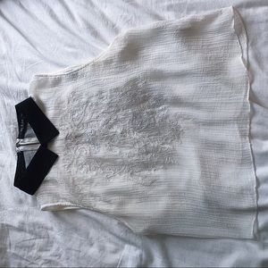 Sheer Crop Top w/ black collar